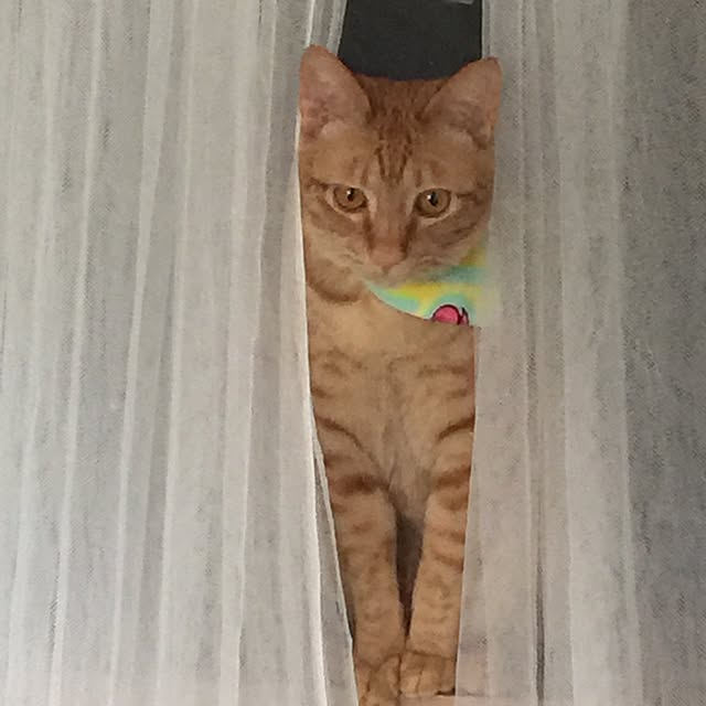 mtkさんの実例写真