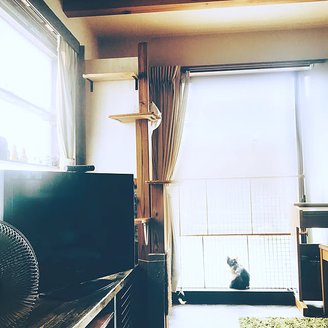 maroさんの実例写真