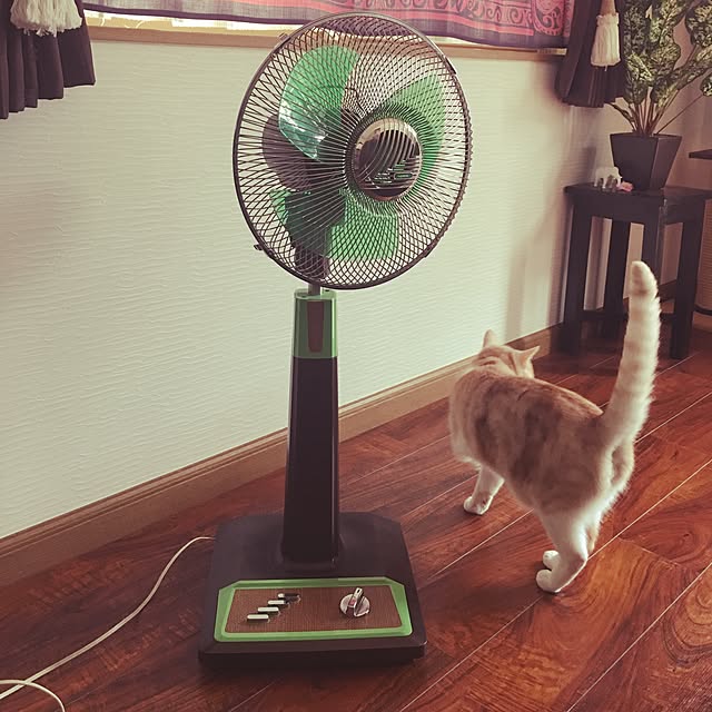 aiaiさんの実例写真