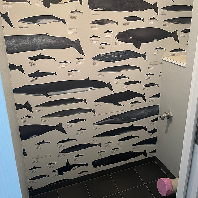 tamisumiaさんの部屋