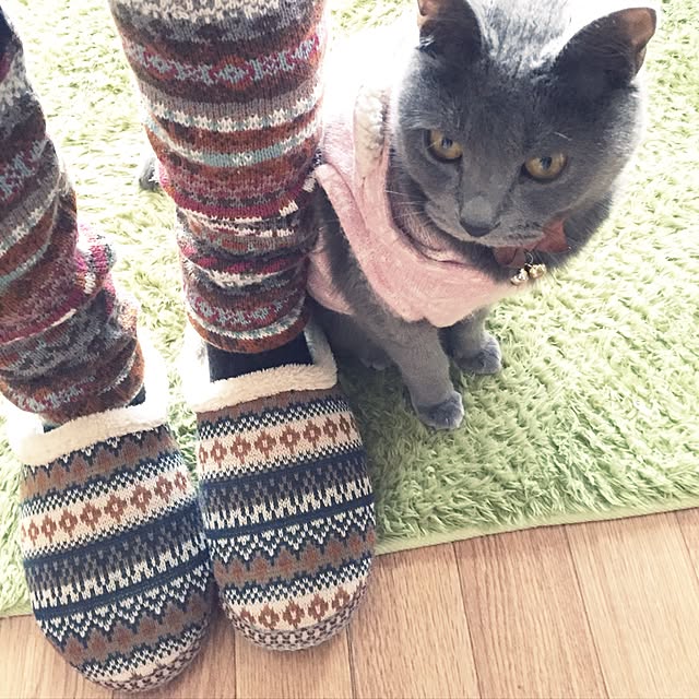 8717さんの実例写真