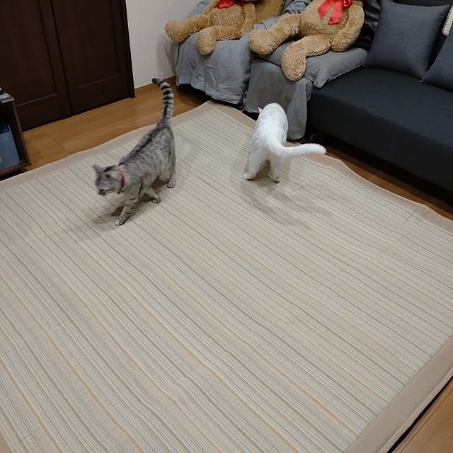 lelielさんの実例写真