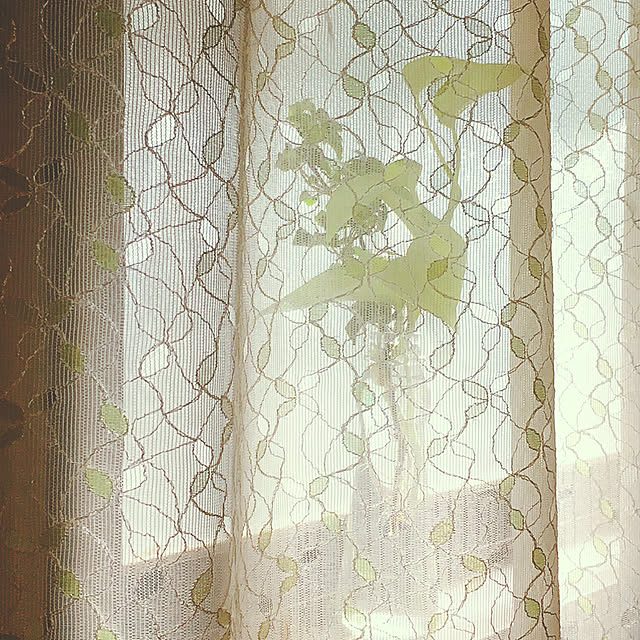 mommyさんの実例写真