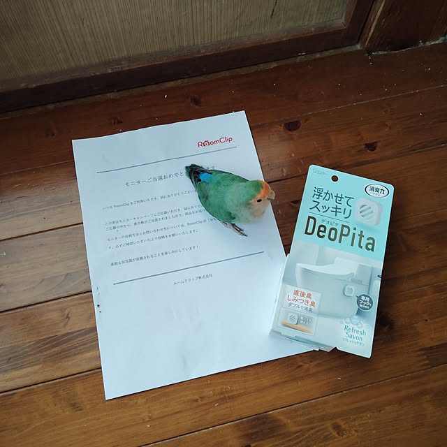 aoinokimiさんの部屋