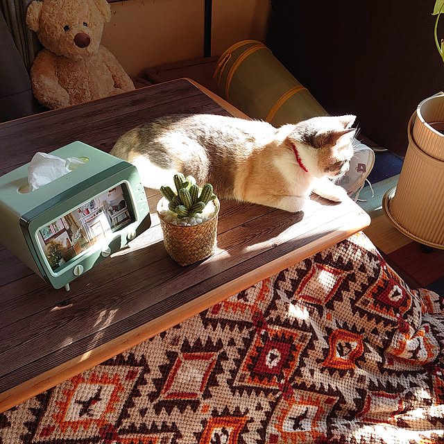 fukuさんの実例写真