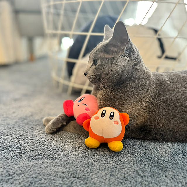 snoopyさんの部屋