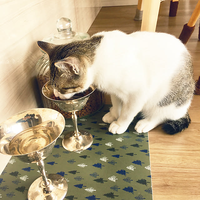 Youさんの実例写真
