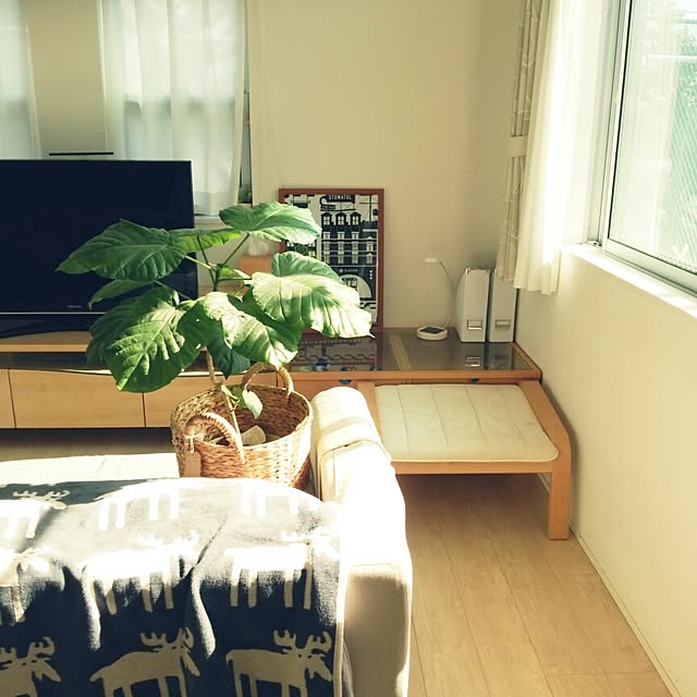 waramieさんの実例写真