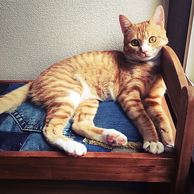 masumiさんの実例写真