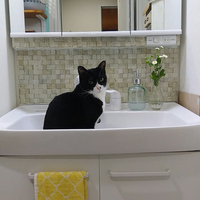 Gomaさんの実例写真