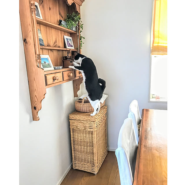 hiyo.pietさんの実例写真