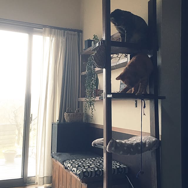 ayaさんの実例写真