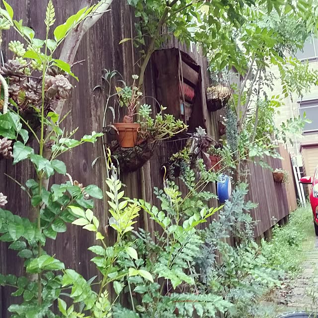 44039ponさんの実例写真