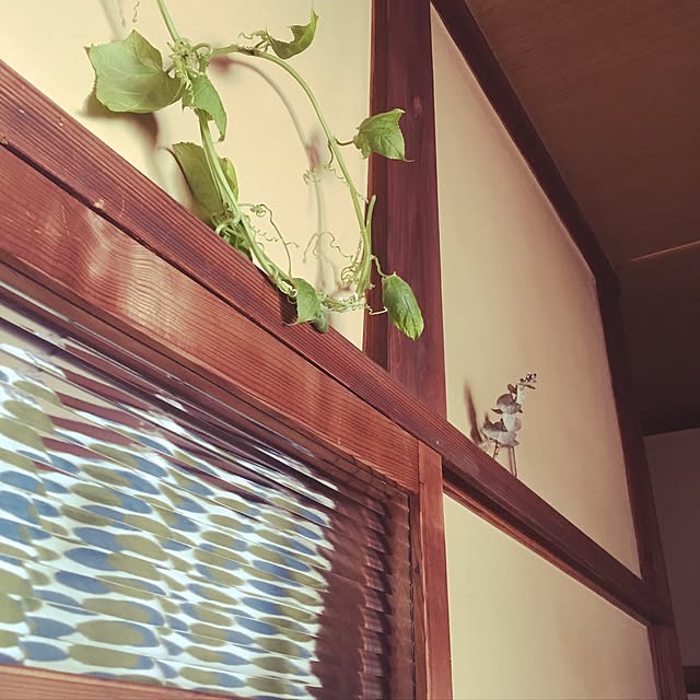cantiamoさんの実例写真