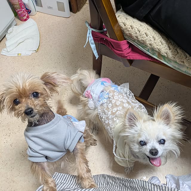 minnieさんの部屋