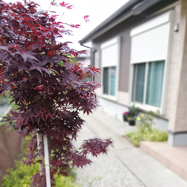 ayanasu.321さんの実例写真
