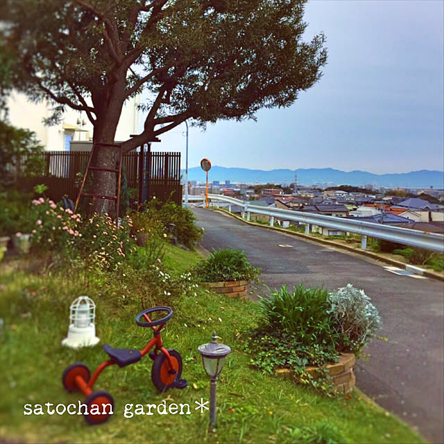 satochanさんの実例写真