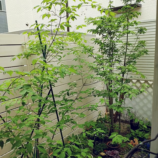 Bienvenueさんの部屋