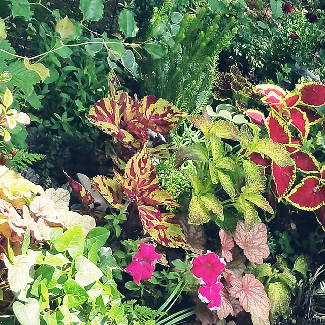 実例写真