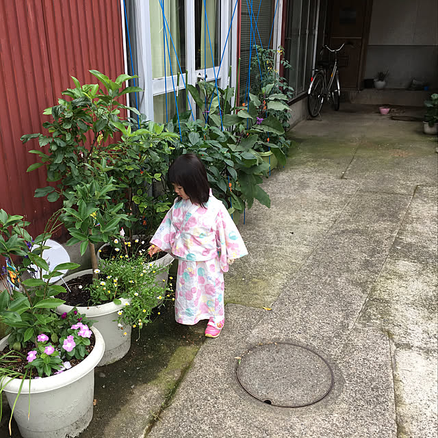 momomamaさんの実例写真