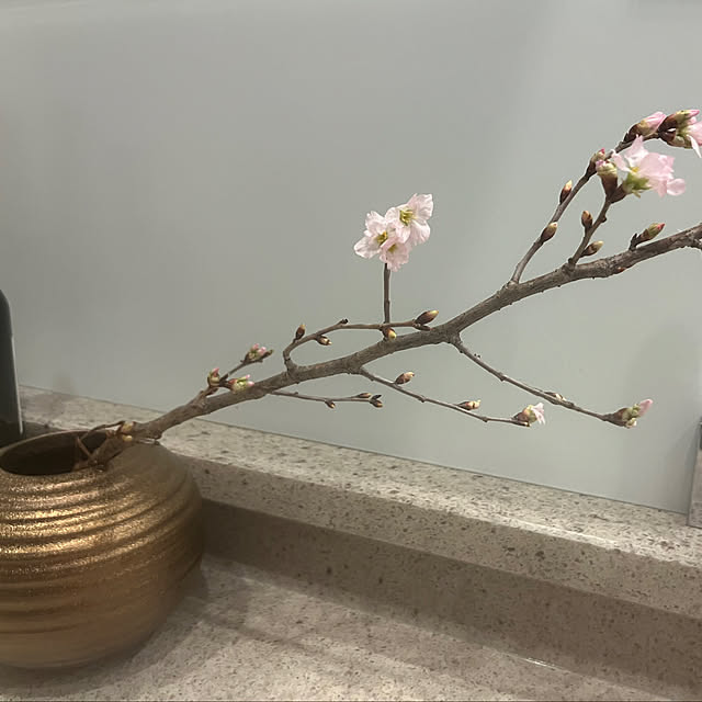 jubileeさんの実例写真