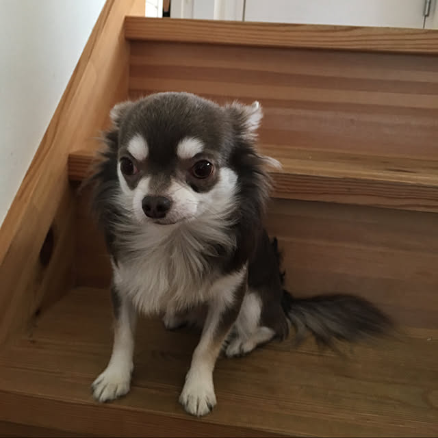 roseさんの実例写真
