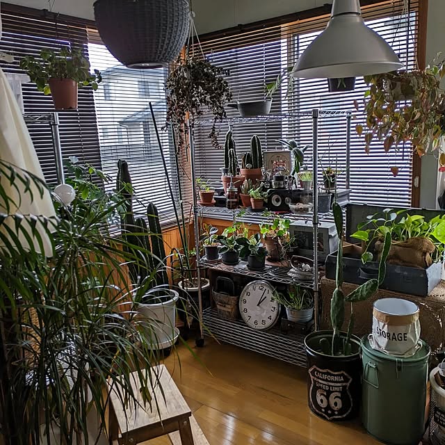 tikuwaさんの実例写真