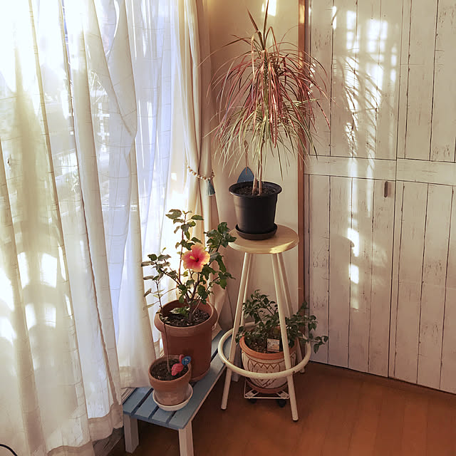 ariceさんの実例写真