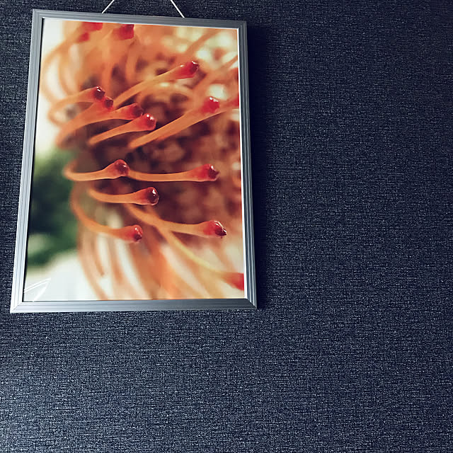 riakanaさんの実例写真