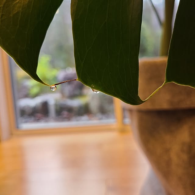 Rubiconさんの部屋