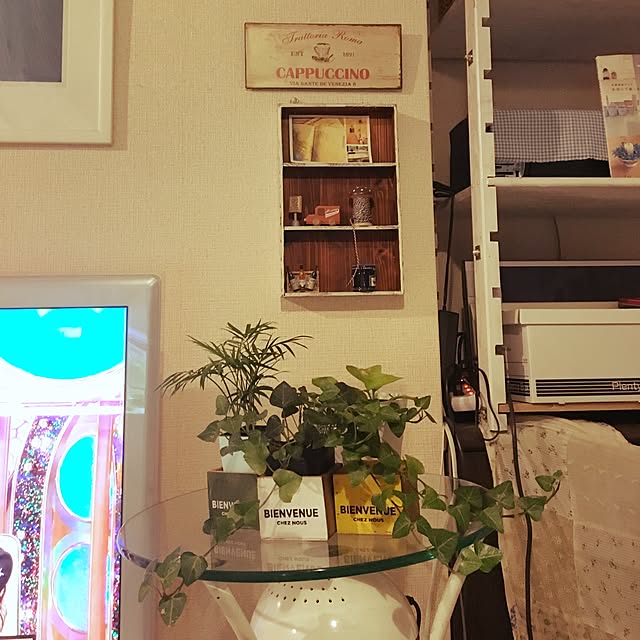 玄関/入り口/観葉植物増やしたい/観葉植物のある暮らし/観葉植物/観葉植物のある部屋...などのインテリア実例 - 2017-02-19 20:05:25