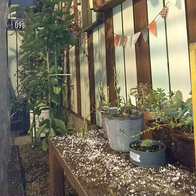 Yukoさんの実例写真