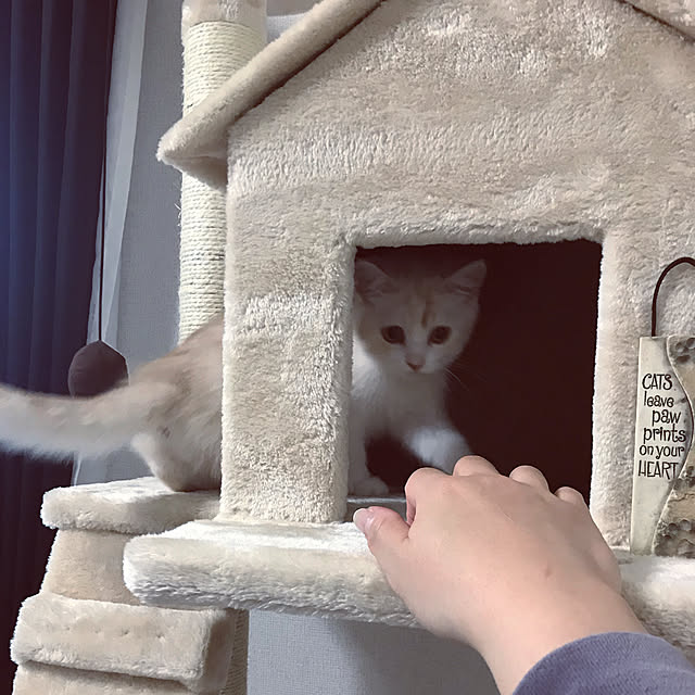 H.Tさんの実例写真