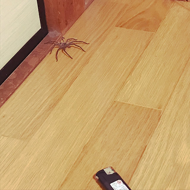 RinkouGrowさんの実例写真