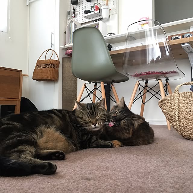 mikomaruさんの実例写真