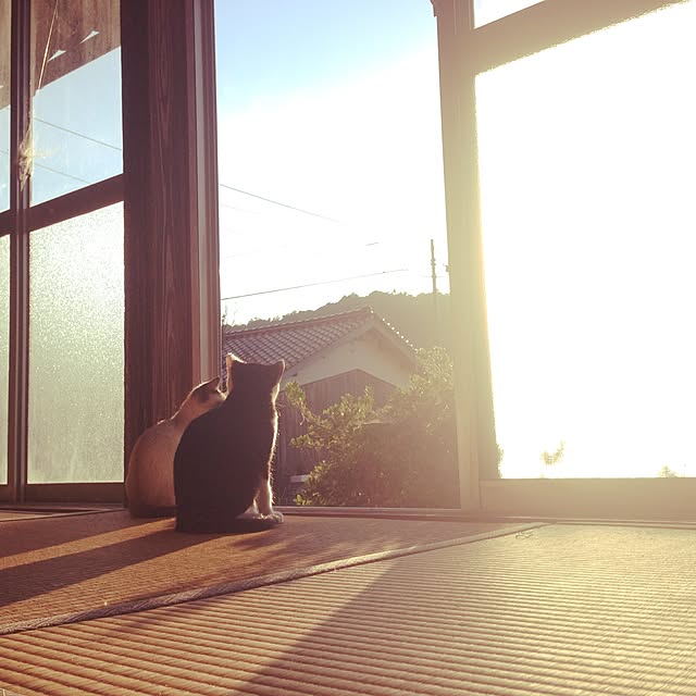 willsoldhouseさんの実例写真