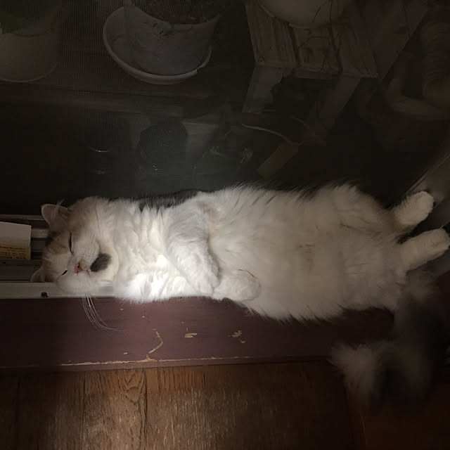 keibooさんの実例写真