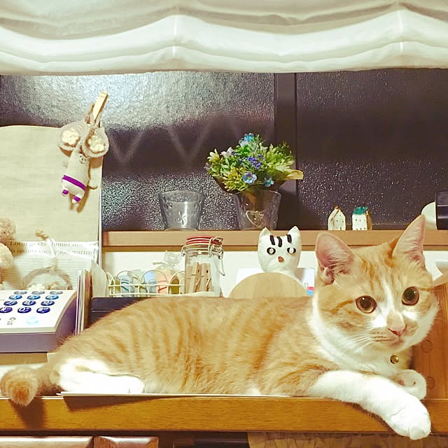 cocomaroさんの実例写真