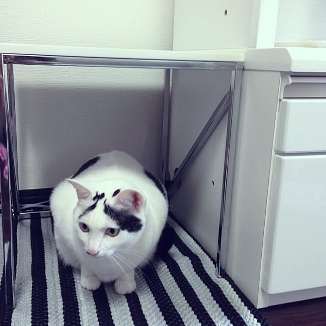 muraさんの実例写真