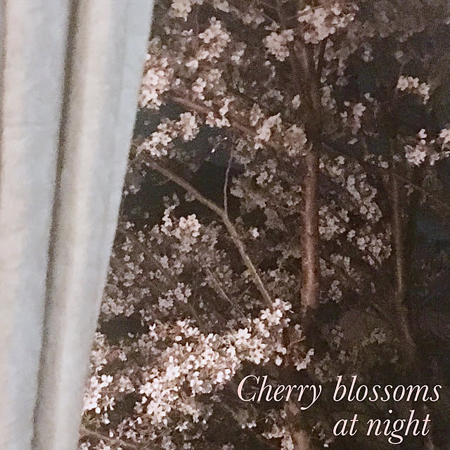 Claraさんの実例写真