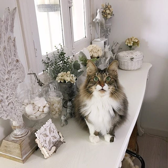 yuchiさんの実例写真