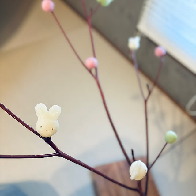 19pyonさんの部屋