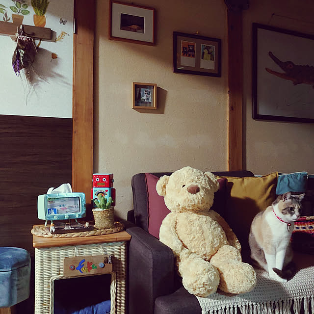 fukuさんの実例写真
