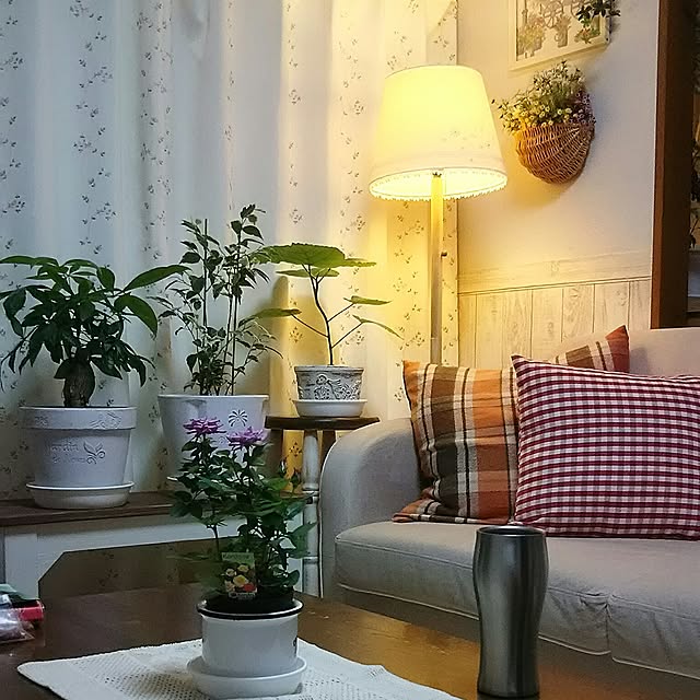 naopyiさんの実例写真