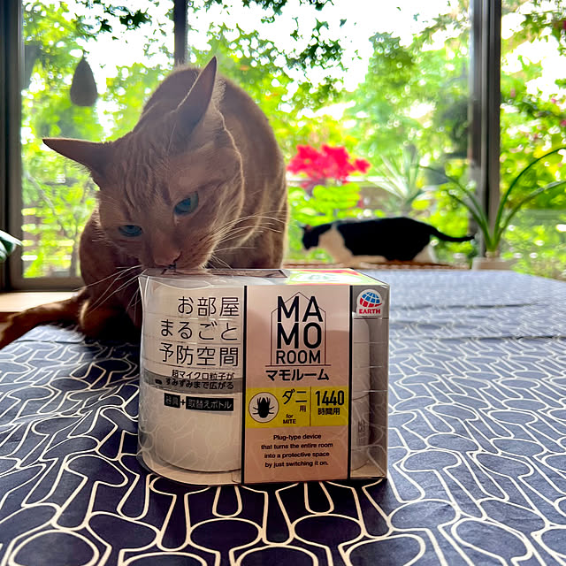 pooさんの部屋