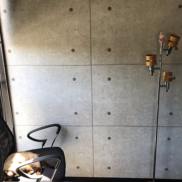 shi622さんの実例写真
