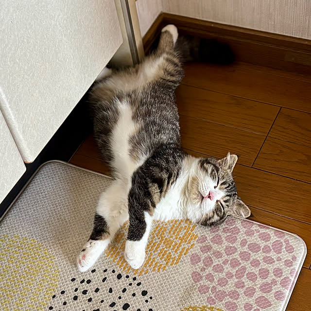 tututu0204さんの部屋