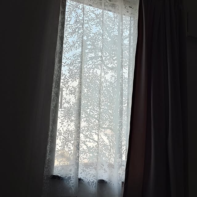 pnd3さんの実例写真