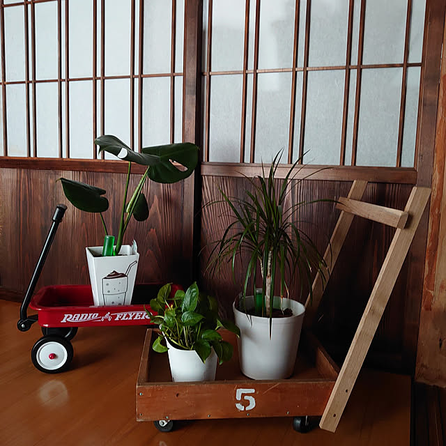fukuさんの実例写真