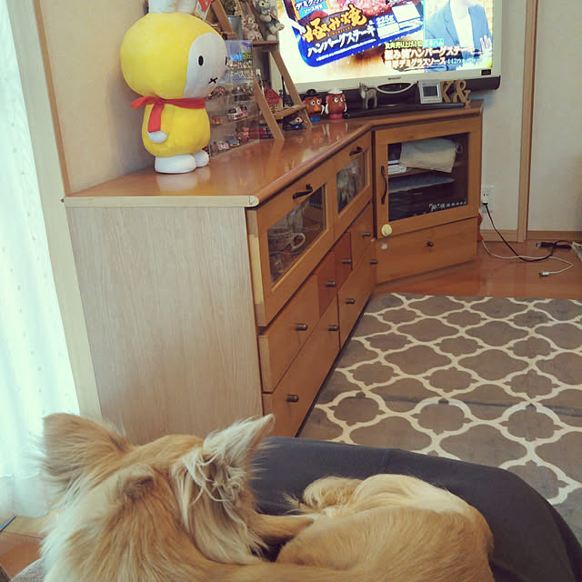 akkyさんの実例写真